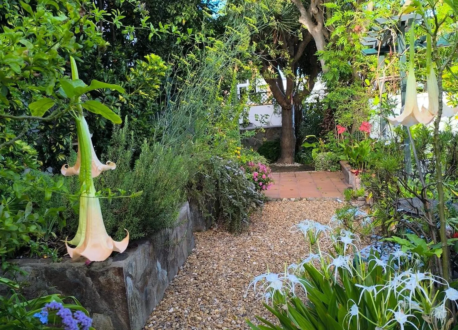 Casa Flora Garden Studio Sauzal