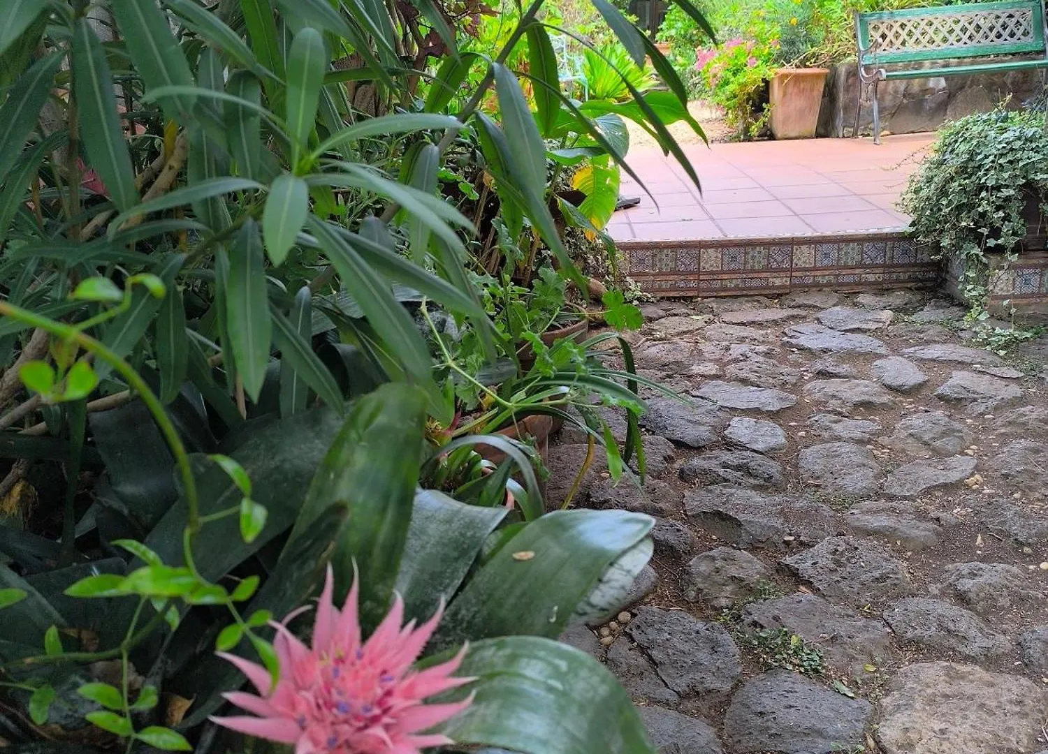 Casa Flora Garden Studio Sauzal Apartment