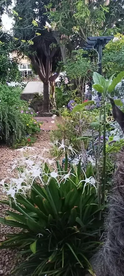 Casa Flora Garden Studio Sauzal 0*,