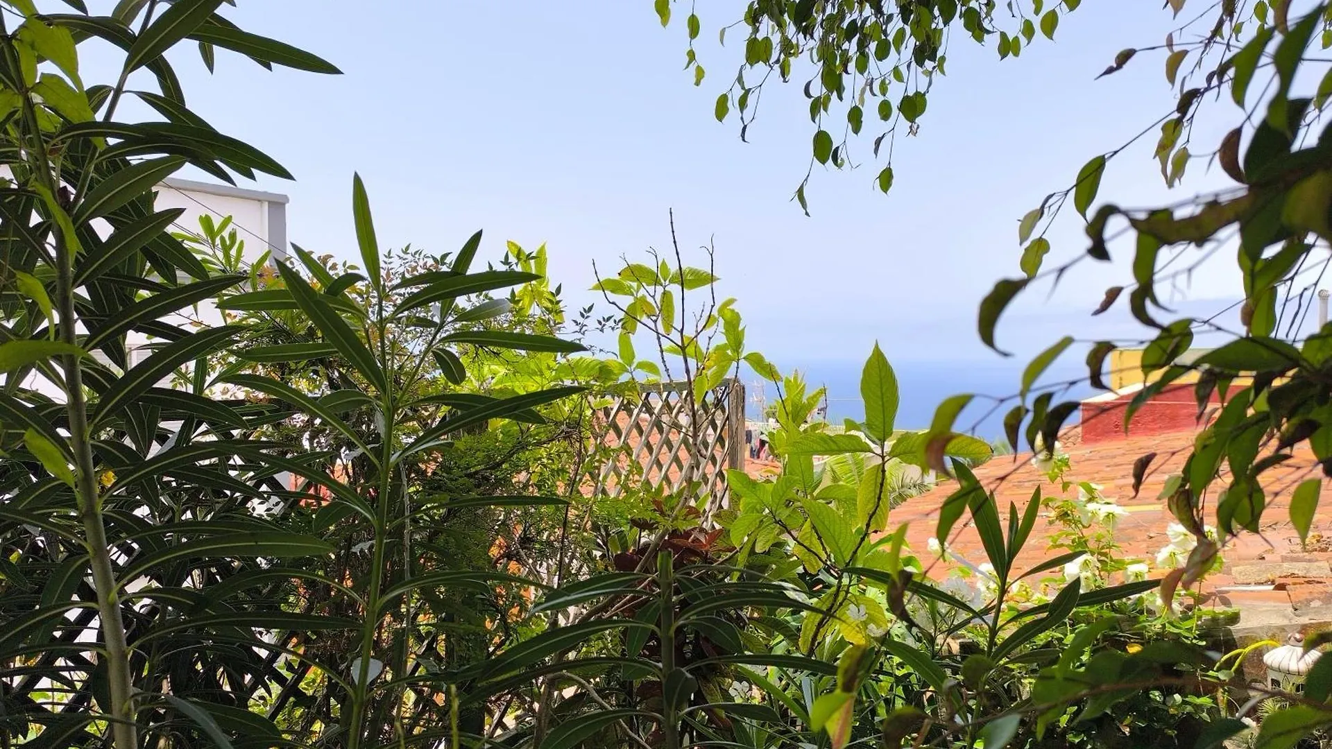 Apartment Casa Flora Garden Studio Sauzal